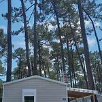 Sous Les Pins Dans 4 Etoiles Mh Familial 322 6 A 8 Couchages 2 Salles De Bain 2 Wc *