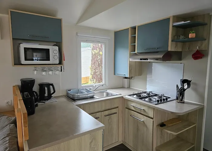 Sous Les Pins Dans 4 Etoiles Mh Familial 322 6 A 8 Couchages 2 Salles De Bain 2 Wc Camping *