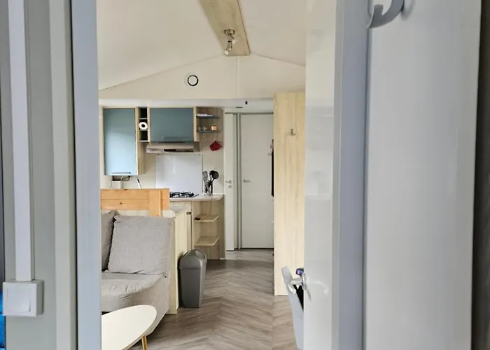 Sous Les Pins Dans 4 Etoiles Mh Familial 322 6 A 8 Couchages 2 Salles De Bain 2 Wc Camping