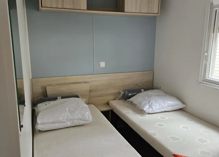 Sous Les Pins Dans 4 Etoiles Mh Familial 322 6 A 8 Couchages 2 Salles De Bain 2 Wc