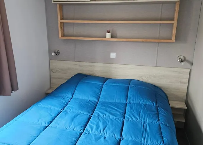 Sous Les Pins Dans 4 Etoiles Mh Familial 322 6 A 8 Couchages 2 Salles De Bain 2 Wc Camping