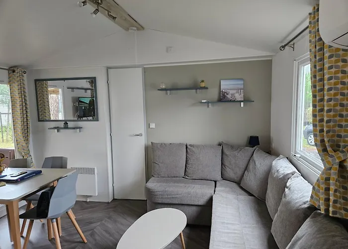 Sous Les Pins Dans 4 Etoiles Mh Familial 322 6 A 8 Couchages 2 Salles De Bain 2 Wc *